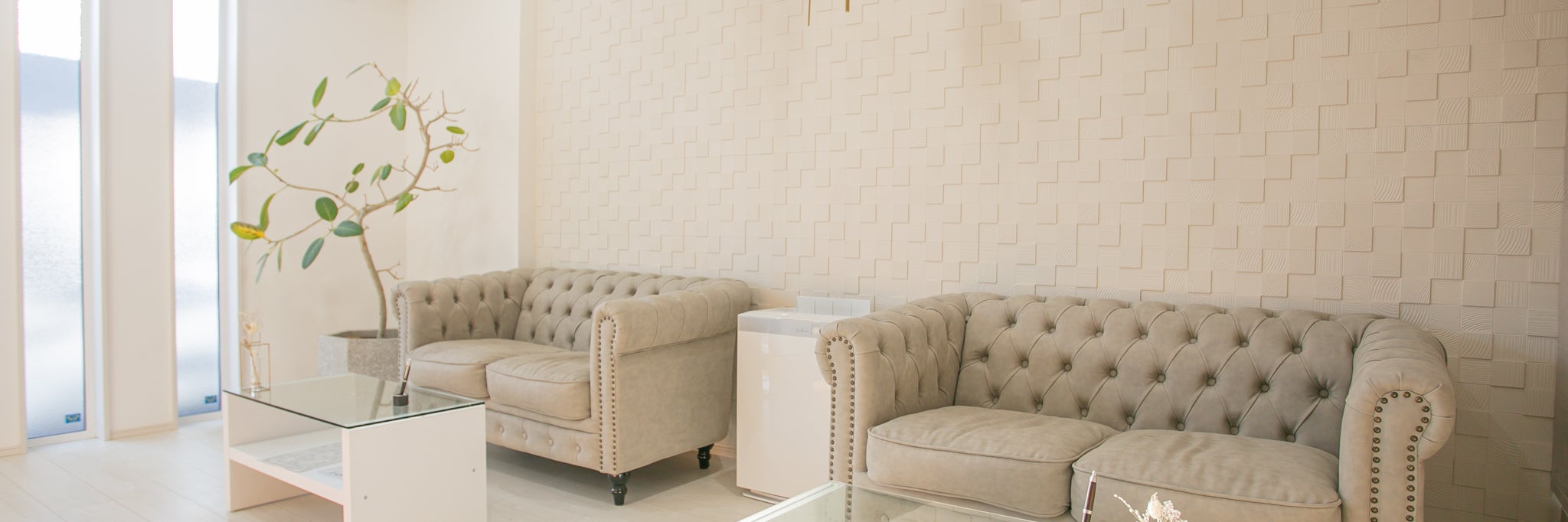 AQUA chiropractic&esthetic　岡崎店の画像